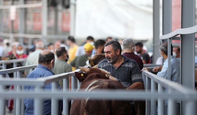 Yenimahalle Belediyesi’nden kurban satışı duyurusu