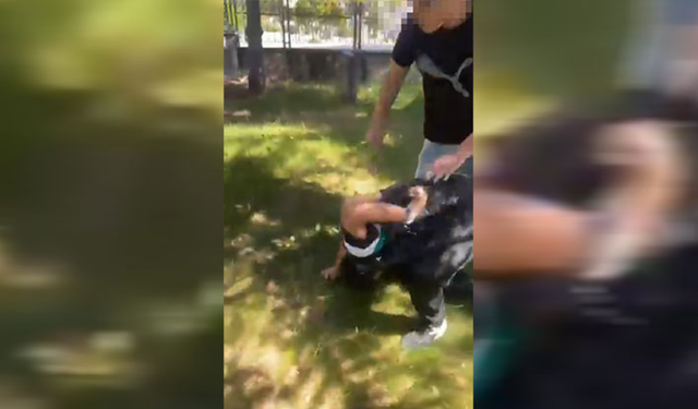 Ankara'da 12 yaşındaki çocuğa parkta öldüresiye şiddet! Alıkoyup darp ettiler