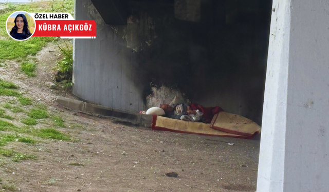 Ankara’nın göbeğinde köprü altında yaşam! ABB sahip çıkmalı
