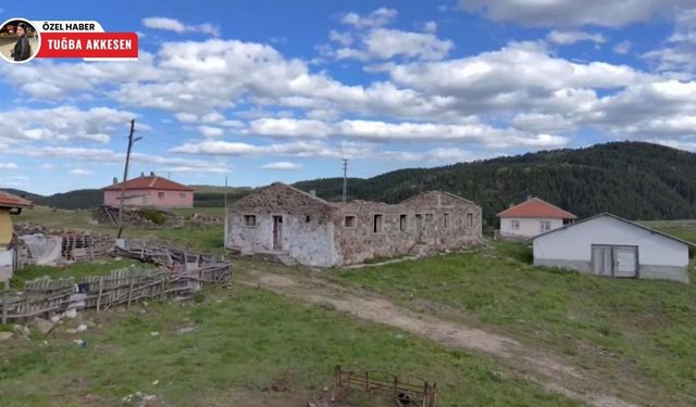Çubuk’un ‘Atatürk Orman Çiftliği’ kaderine terk edildi