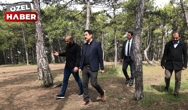 Yetkililer Beynam Ormanı’nda incelemelerde bulundu