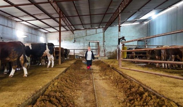 Kadınsın yapamazsın dediler: Ankara'da çiftlik kurdu