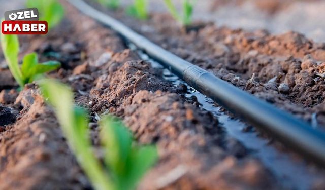 Haymana’da tarıma can suyu! Üreticiye damla sulama borusu desteği sağlanacak
