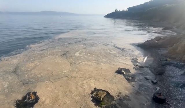 Gemlik Körfezi'ndeki müsilaj vatandaşları tedirgin ediyor