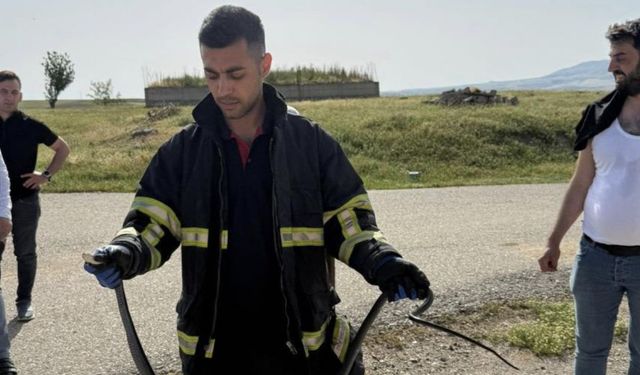 Tavan arasına giren yılan korkuttu!