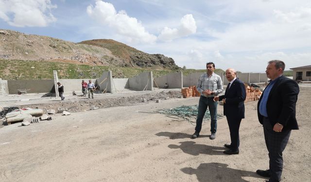 Yenimahalle Belediye Başkanı Yaşar, sokak hayvanları için sahada