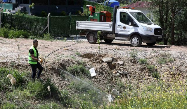 Yenimahalle’de yaz öncesi haşere seferberliği