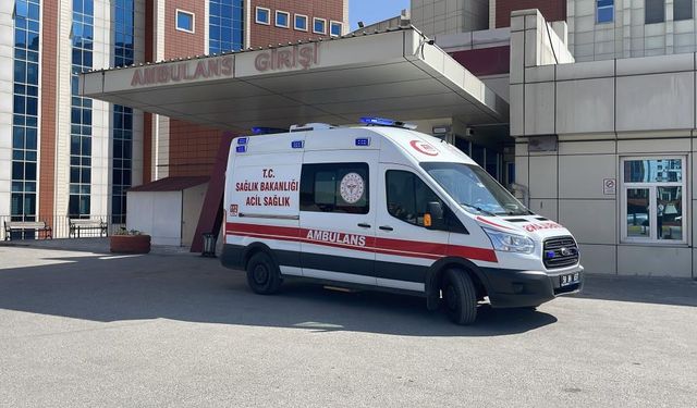 Acemi kasaplar hastanelik oldu!