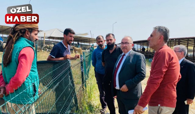 AK Parti Polatlı İlçe Başkanı İlhami Teke'den Kurban Pazarına ziyaret