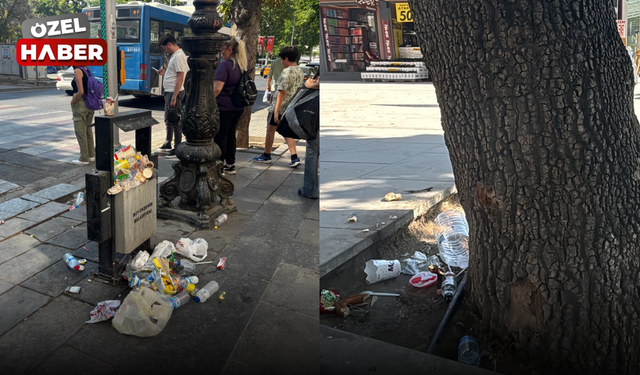Ankara'da sıcaklıkların artmasıyla çöp ve sinek sorunu patlak verdi