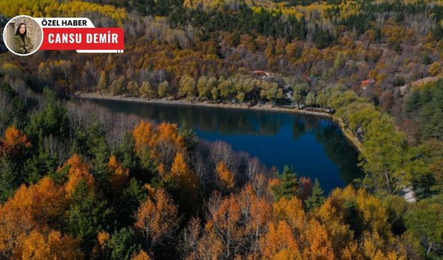 Ankara'da yaz aylarının gözdesi: Karagöl Tabiat Parkı