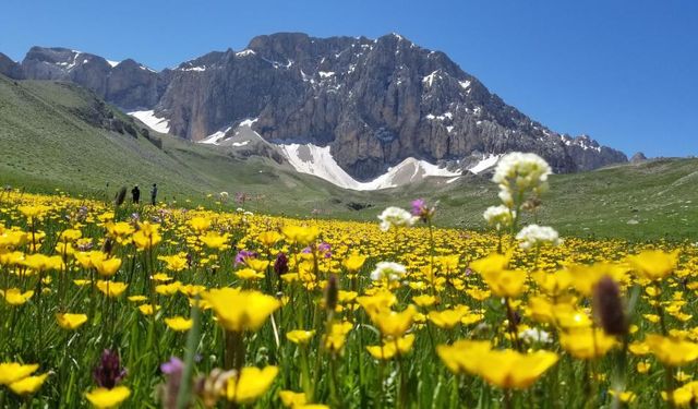 Merg Yaylası ziyaretçi akınına uğruyor