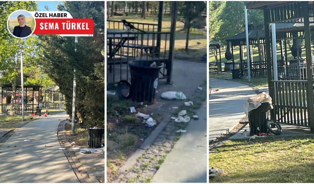 Piknikçilerin bıraktığı çöpler isyan ettirdi! ABB harekete geçti