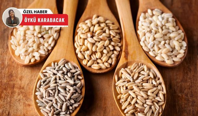 Polatlı Ticaret Borsası'ndan haziran ayına hızlı başlangıç! Buğday fiyatları yükselişte