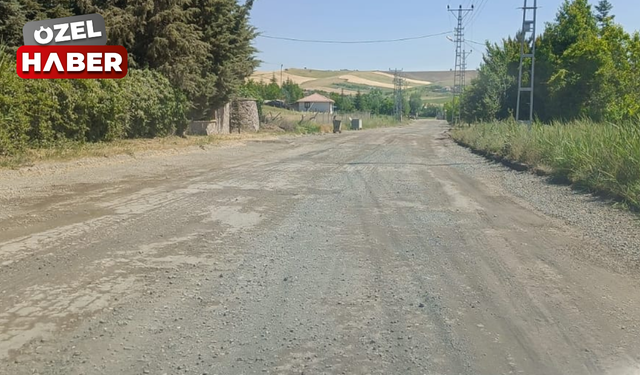 Pursaklar Sirkeli Mahallesi'nde asfalt isyanı: Vatandaşlar yetkililerden çözüm bekliyor!