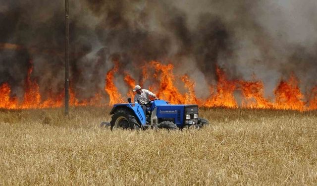 Şereflikoçhisar Belediyesinden hasat uyarısı: Çiftçimizin umudunu yakmayın!