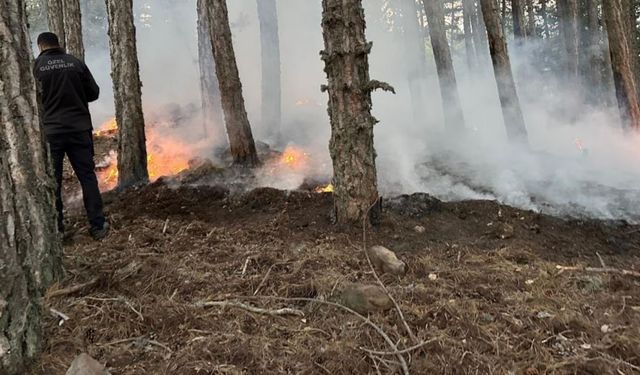 Soğuksu Milli Parkı'nda piknikçi ateşinden yangın çıktı