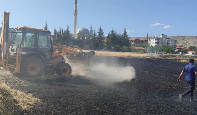 Ankara'da bir tarla yanarak küle döndü: Hayvanlar telef oldu
