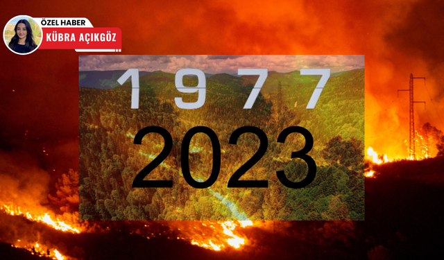1977’den 2023’e Türkiye’nin yangın karnesi: En fazla yangın hangi yılda çıktı?
