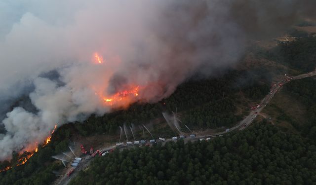 Karabük'te korkutan orman yangını