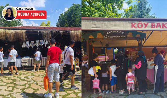 Altınköy’de, hasat şenliği coşkusu sürüyor