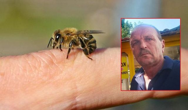 Arı sokması sonucu fenalaştı: Hastanede hayatını kaybetti