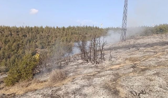 Hatay Belen’de ormanlık alanda yangın çıktı