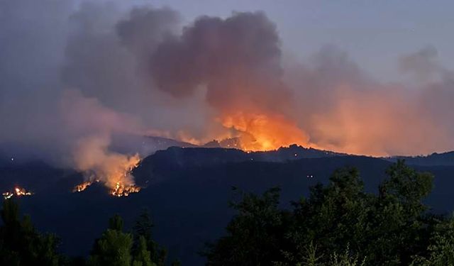 Bir günde 84 noktada orman yangını çıktı