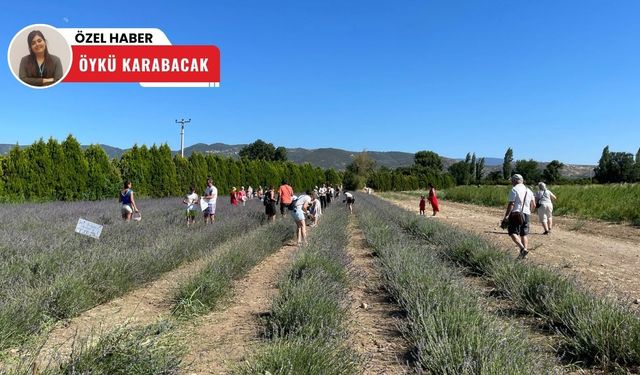 Doğadan sanata uzanan şifa yolculuğu: Aromaterapi Festivali'ne yoğun ilgi