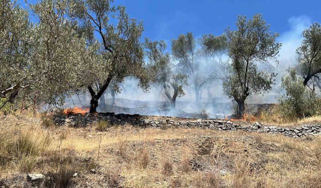 Edremit Güre’deki yangın kontrol altına alındı
