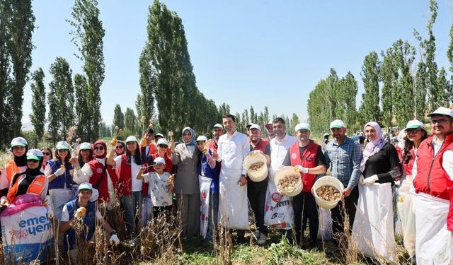 Gönüllü gençlerden Türkiye'nin tarımsal üretimine destek