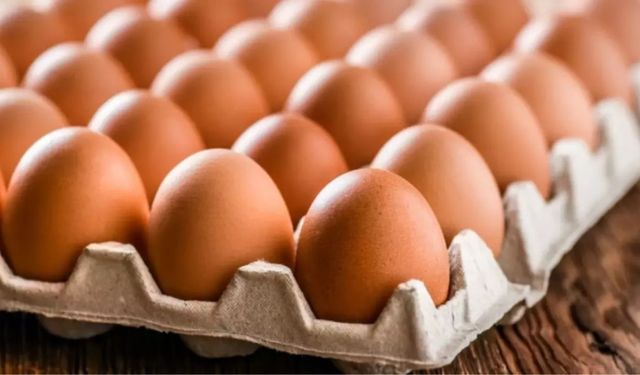 Türkiye’nin ünlü yumurta firmasına kayyum atandı