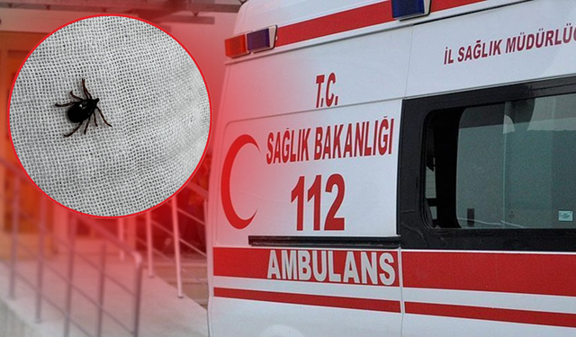 Keneye bir kurban daha! Aynı mahallede 3'üncü ölüm
