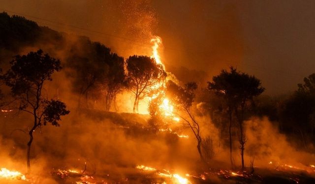 Türkiye yangınlarla mücadele ediyor