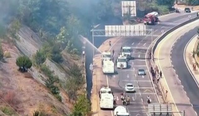 Orman yangınına TOMA ve beton mikseriyle müdahale