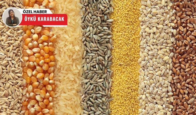 Haftalık veriler açıklandı! Polatlı Ticaret Borsası'nda dikkat çeken hareketlilik
