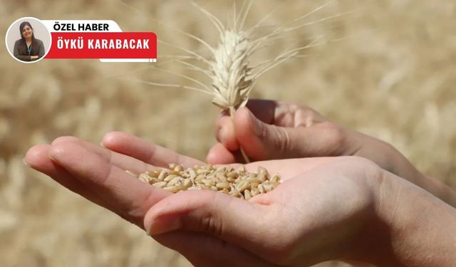 Polatlı Ticaret Borsası'nda fiyatlar dalgalı, işlem hacmi düşüşte