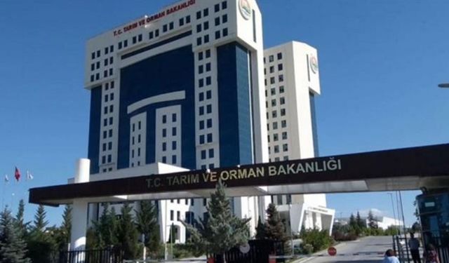 Tarım ve Orman Bakanlığı personelinden sınav isyanı! 4 yıldır bekliyorlar...