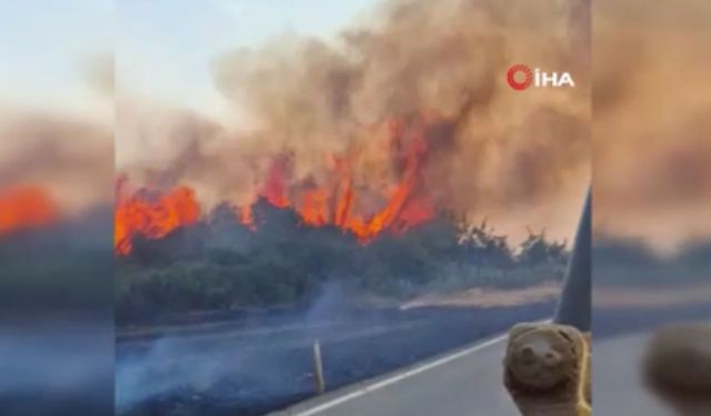 Tekirdağ'da korkutan yangın: Müdahale devam ediyor