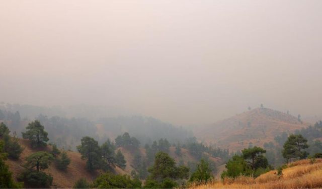 Kahramanmaraş'ta 4 ev yandı, 20 ev tahliye edildi