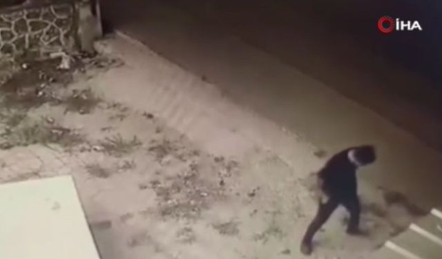 Ankara'da kan donduran olay: Köpeğe işkence etti