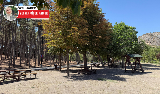 Ankara'da uyarılar sonrası piknik ve mesire alanları boş kaldı