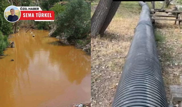 Belediyenin yapamadığını, vatandaş yaptı! Koku sorunu azaldı