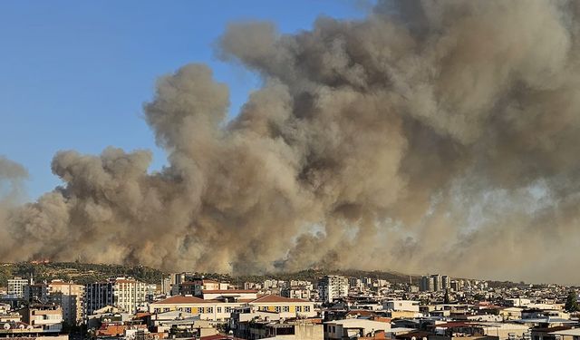İzmir Buca’da orman yangını!