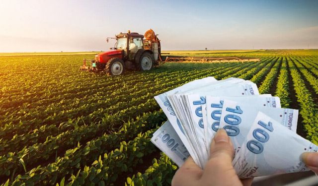 Çiftçilere müjde! Destek ödemeleri hesaplara yattı