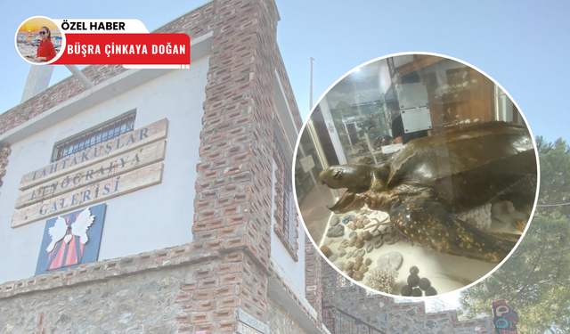 Dünyanın ‘’en büyük deniz kaplumbağası’’ Tahtakuşlar Köyü’nde sergileniyor