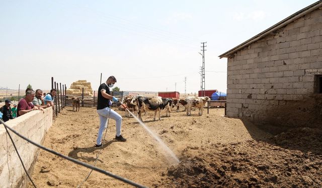 Etimesgut’ta ilaçlama seferberliği: Vektör ve haşerelerle mücadele ediliyor!
