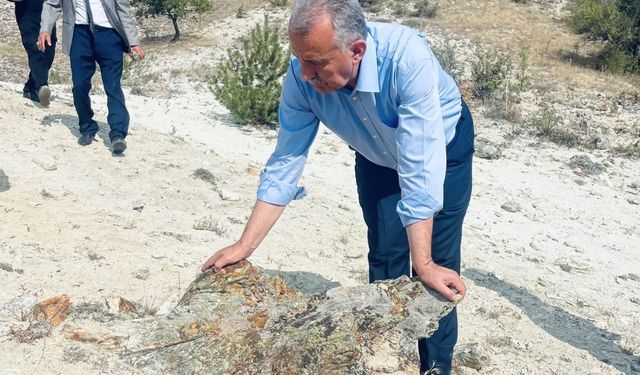 Çamlıdere’deki Fosil Orman Alanı turizme kazandırılıyor