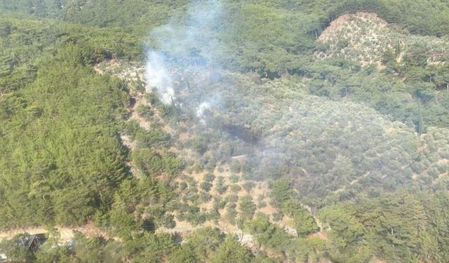 Kazdağları Milli Parkı’nda çıkan yangın çok geçmeden kontrol altına alındı