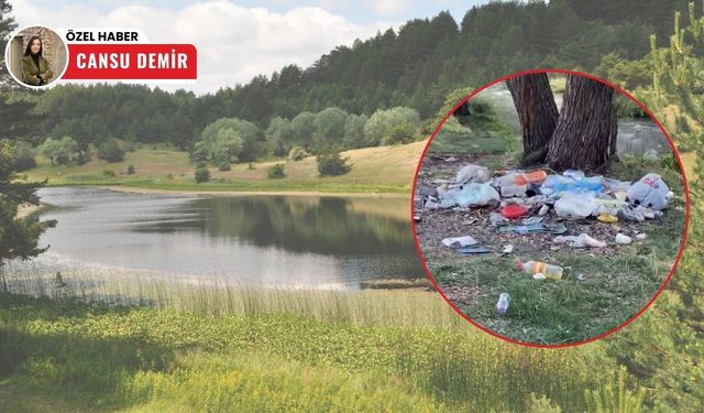 Kızılcahamam'da pikniğe gelenler geride çöplerini bıraktı